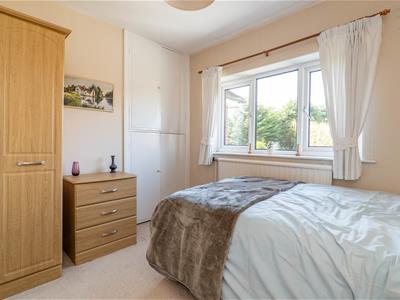 Picture 20
